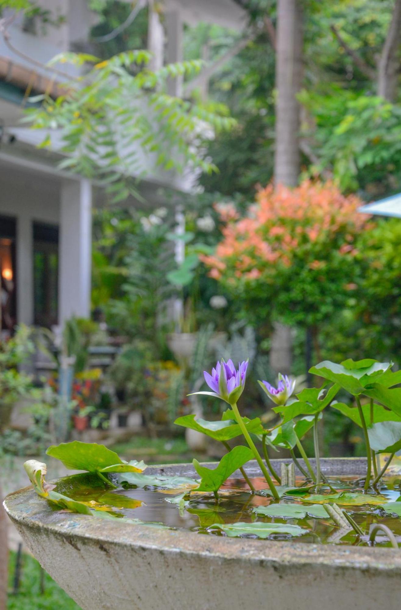 Palm Garden Guest House Galle Exterior photo