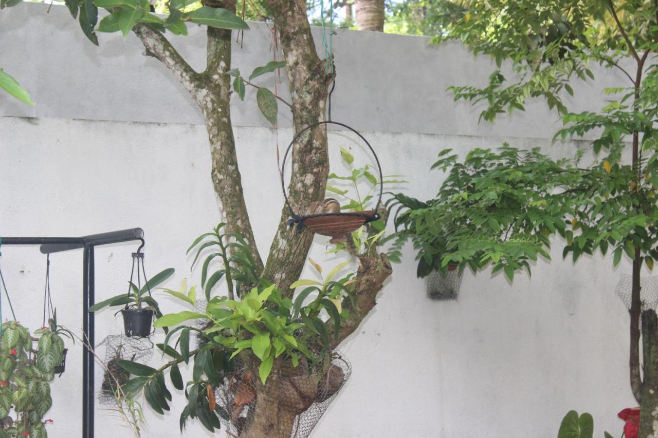 Palm Garden Guest House Galle Exterior photo